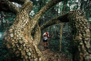 BIB: 
                            <button type="button" onclick="openModal(25393278)" class="btn btn-primary btn-sm float-right btn-popup" data-toggle="modal" data-target=".modal-high-quality">
                        <i class="fas fa-shopping-cart"></i> Add to Cart
                    </button>
                                            <button type="button" onclick="isThisMe(25393278, true)" class="btn btn-success btn-sm float-right btn-popup btn-isme hidden" data-toggle="tooltip" data-placement="bottom" title="นี่คือรูปของคุณใช่ไหม คลิกที่นี่เพื่อเอาเข้าอัลบั้ม">
                        <i class="fas fa-plus"></i> Add to album
                    </button>
                    <button type="button" onclick="isThisMe(25393278, false)" class="btn btn-warning btn-sm float-right btn-popup btn-isnotme hidden">
                        <i class="fas fa-ban"></i> Remove from album
                    </button>